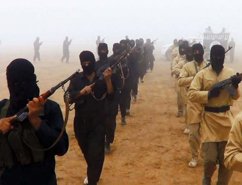 New Scientist. Science news and long reads from expert journalists, covering developments in science, technology, health and the environment on the website and the magazine.