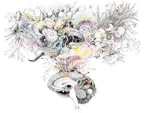 Daydream believers: Is imagination our greatest skill?