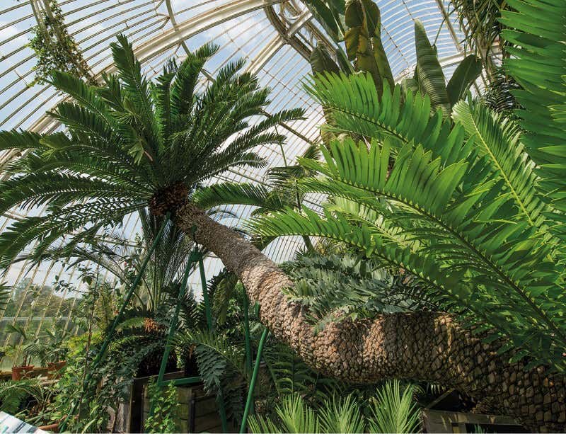 New Scientist. Science news and long reads from expert journalists, covering developments in science, technology, health and the environment on the website and the magazine.