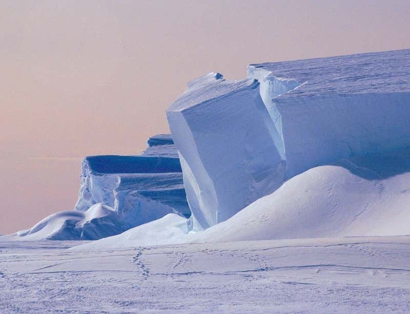 New Scientist. Science news and long reads from expert journalists, covering developments in science, technology, health and the environment on the website and the magazine.