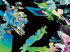 Artificial sweeteners linked to glucose intolerance