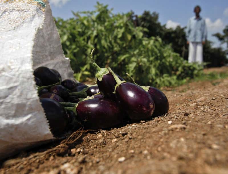 New Scientist. Science news and long reads from expert journalists, covering developments in science, technology, health and the environment on the website and the magazine.