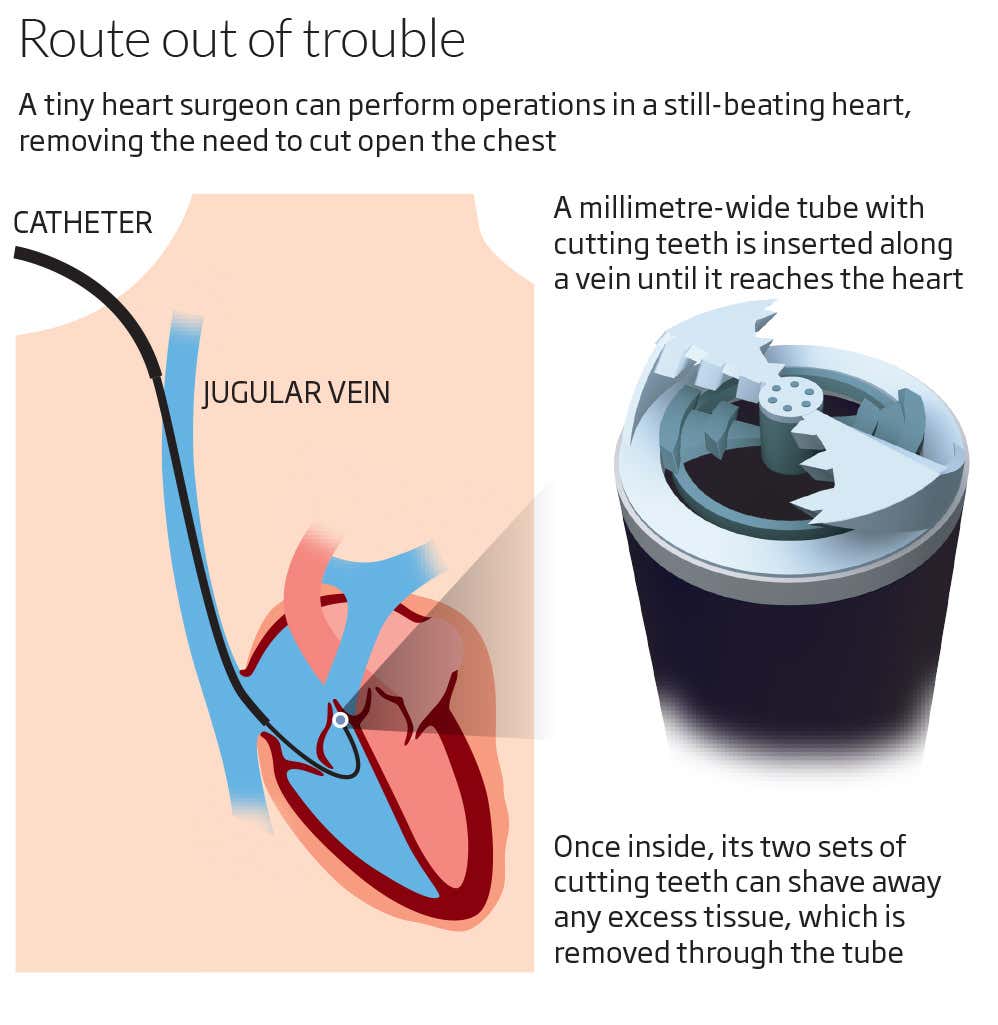 New Scientist. Science news and long reads from expert journalists, covering developments in science, technology, health and the environment on the website and the magazine.
