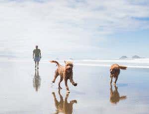 Mind expanding: Harness the power of knowledge