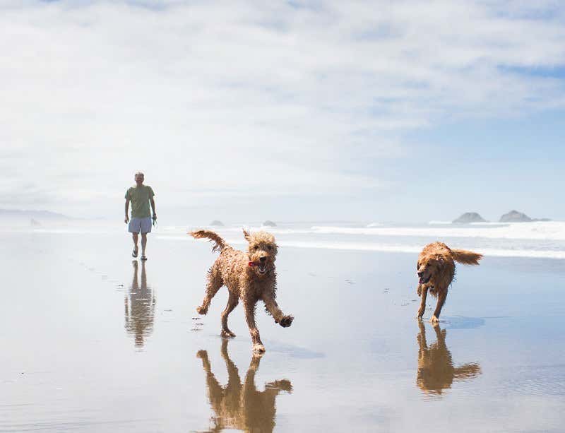 New Scientist. Science news and long reads from expert journalists, covering developments in science, technology, health and the environment on the website and the magazine.