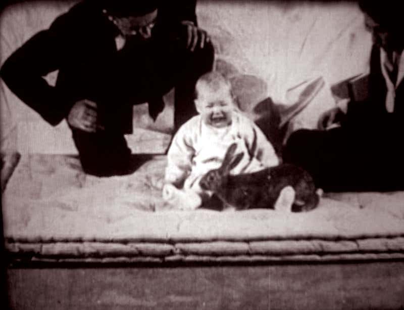 New Scientist. Science news and long reads from expert journalists, covering developments in science, technology, health and the environment on the website and the magazine.