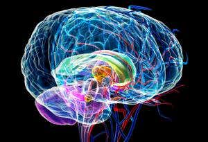 New Scientist. Science news and long reads from expert journalists, covering developments in science, technology, health and the environment on the website and the magazine.