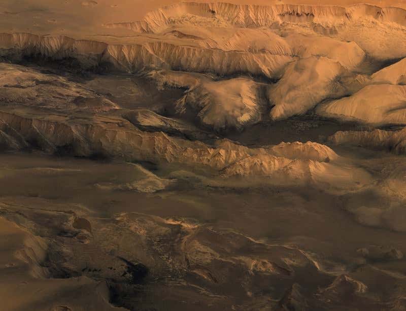 New Scientist. Science news and long reads from expert journalists, covering developments in science, technology, health and the environment on the website and the magazine.