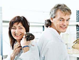 Discoverers of brain's satnav win Nobel prize