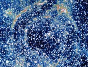 Super-close supernova used to map the Cigar Galaxy