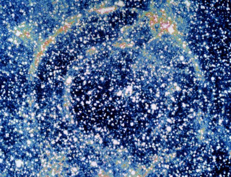 New Scientist. Science news and long reads from expert journalists, covering developments in science, technology, health and the environment on the website and the magazine.