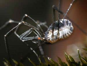 New Scientist. Science news and long reads from expert journalists, covering developments in science, technology, health and the environment on the website and the magazine.