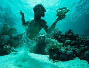 Acid damage to coral reefs could cost $1 trillion