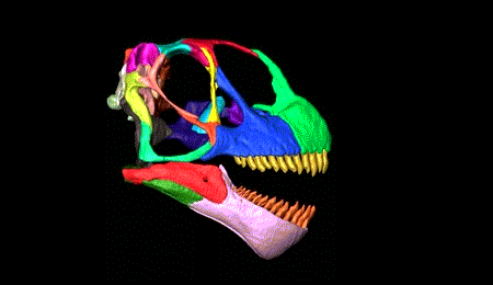 New Scientist. Science news and long reads from expert journalists, covering developments in science, technology, health and the environment on the website and the magazine.
