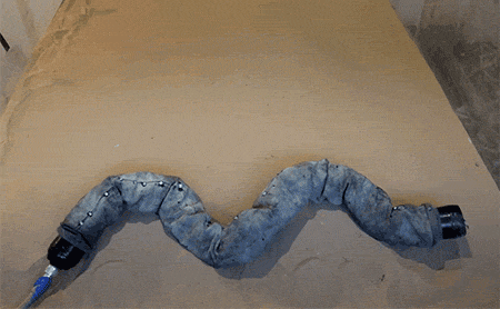 New Scientist. Science news and long reads from expert journalists, covering developments in science, technology, health and the environment on the website and the magazine.