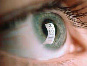 Stem cells improve vision enough for horse riding