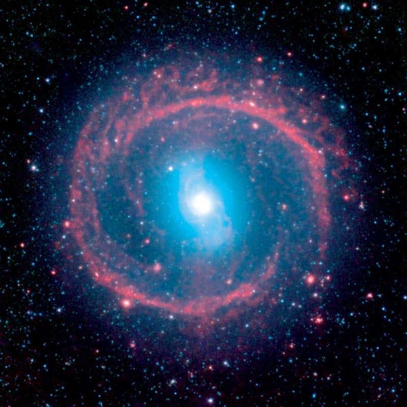 New Scientist. Science news and long reads from expert journalists, covering developments in science, technology, health and the environment on the website and the magazine.