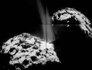 Comet stinks of rotten eggs and cat wee, finds Rosetta