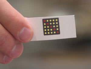 Biological litmus paper detects Ebola strains