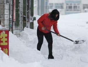 Arctic melt means more severe winters likely - for now