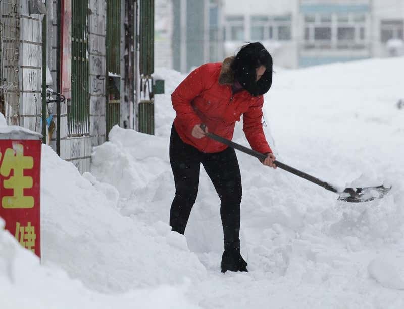 New Scientist. Science news and long reads from expert journalists, covering developments in science, technology, health and the environment on the website and the magazine.