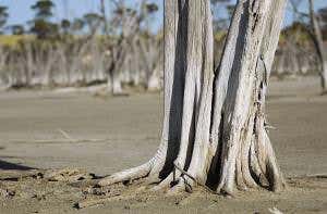 Farm salt poisoning costs $27 billion annually