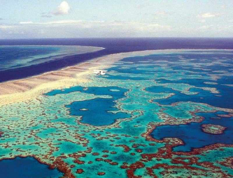 New Scientist. Science news and long reads from expert journalists, covering developments in science, technology, health and the environment on the website and the magazine.