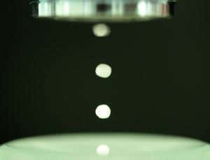 Trap cells in sound to create strong cartilage