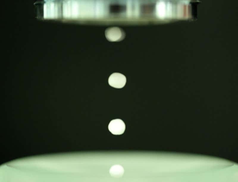 New Scientist. Science news and long reads from expert journalists, covering developments in science, technology, health and the environment on the website and the magazine.