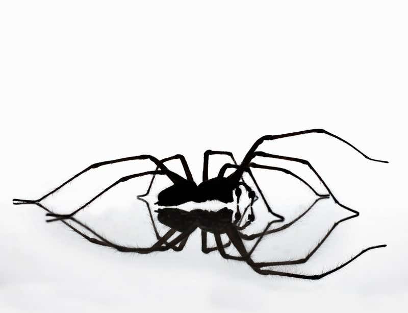 New Scientist. Science news and long reads from expert journalists, covering developments in science, technology, health and the environment on the website and the magazine.