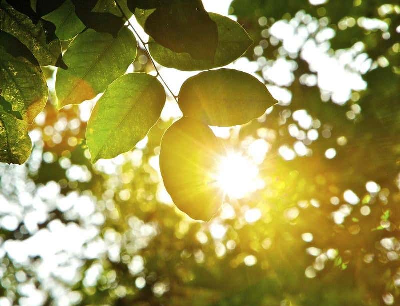 New Scientist. Science news and long reads from expert journalists, covering developments in science, technology, health and the environment on the website and the magazine.