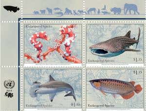 Beautiful UN stamps use endangered fish to make point
