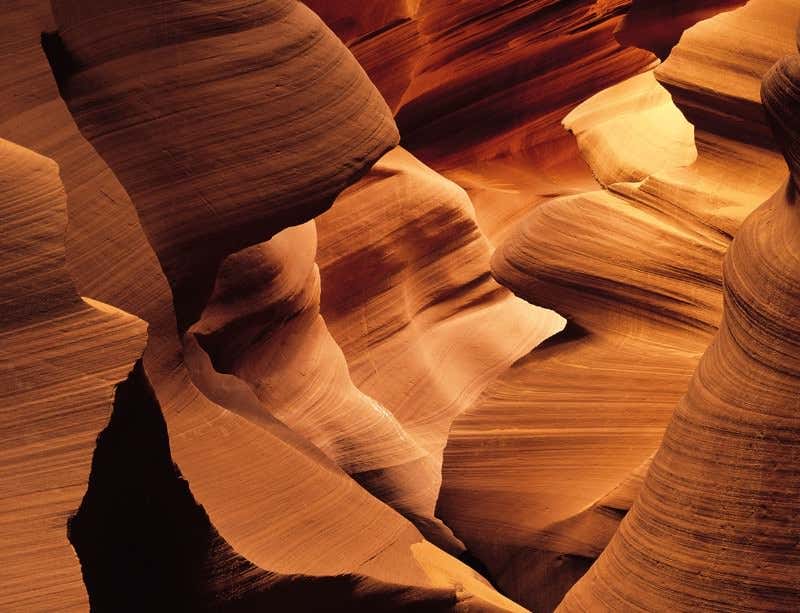 New Scientist. Science news and long reads from expert journalists, covering developments in science, technology, health and the environment on the website and the magazine.