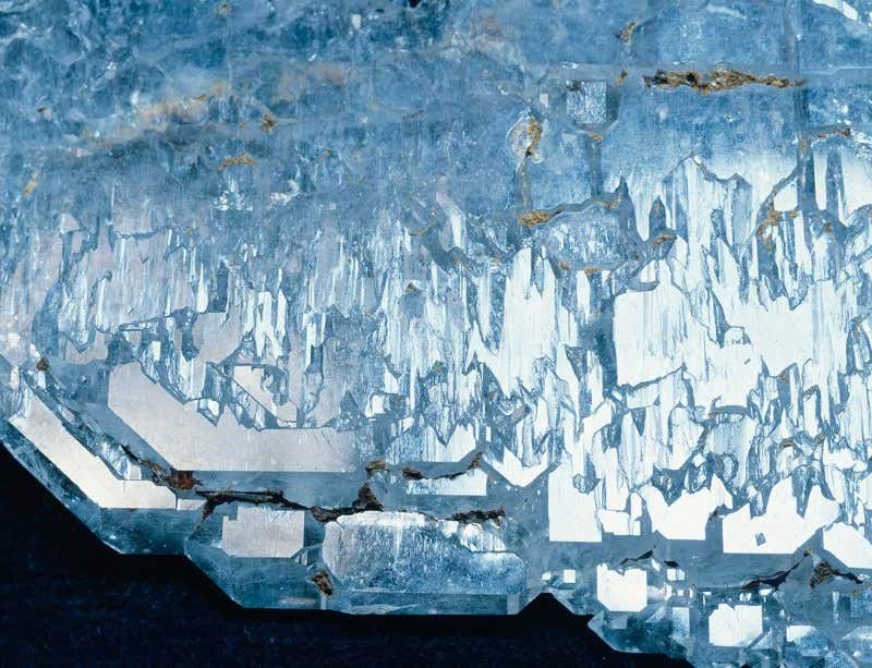 New Scientist. Science news and long reads from expert journalists, covering developments in science, technology, health and the environment on the website and the magazine.