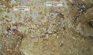 World's oldest hand stencil found in Indonesian cave