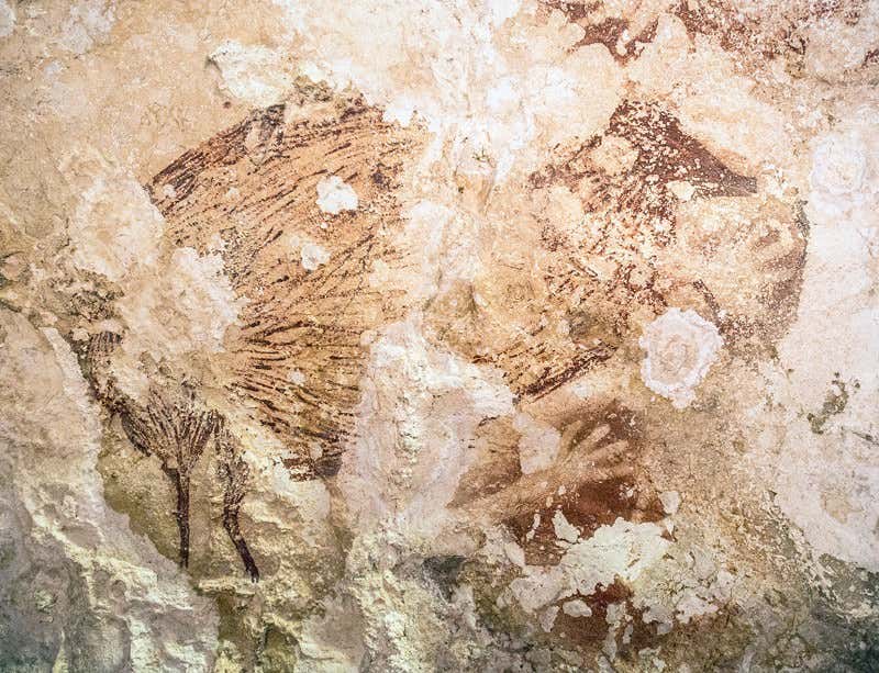 World's oldest hand stencil found in Indonesian cave
