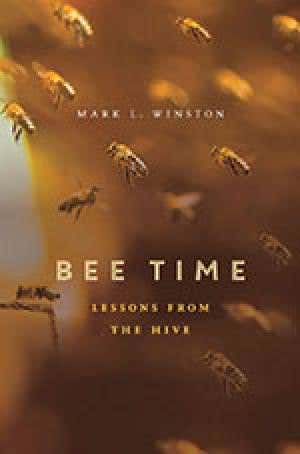 Could this bee love? Rekindling our affection for bees