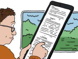 Feedback: Indemnifies and holds harmless