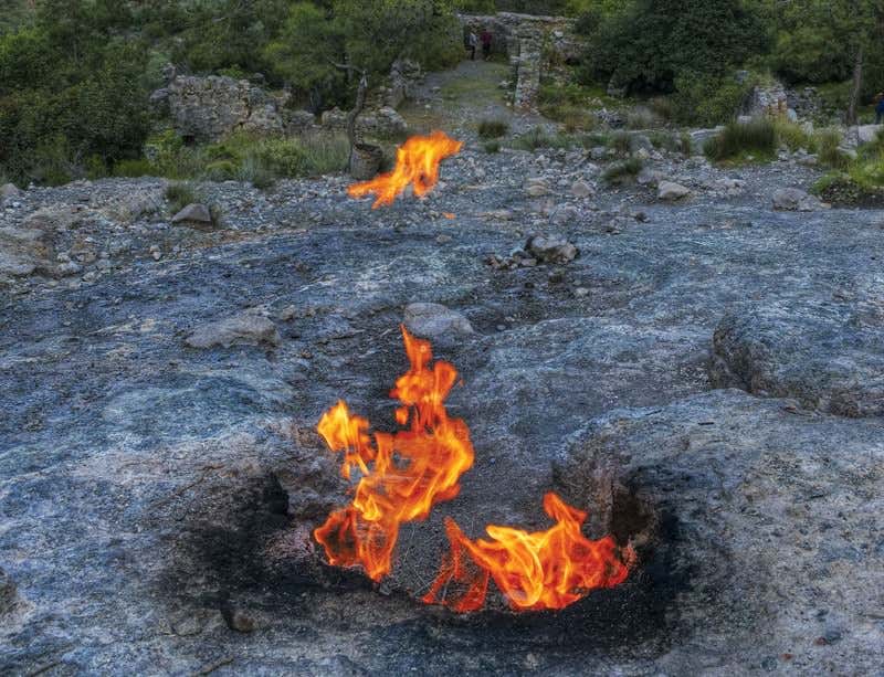 New Scientist. Science news and long reads from expert journalists, covering developments in science, technology, health and the environment on the website and the magazine.