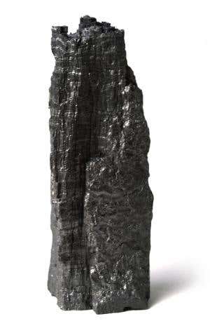 The future's flat: The wondrous world of 2D materials