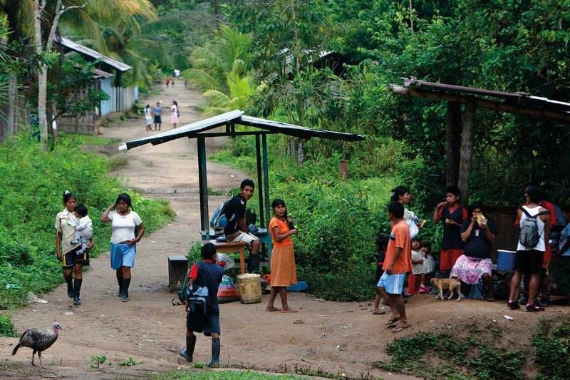 New Scientist. Science news and long reads from expert journalists, covering developments in science, technology, health and the environment on the website and the magazine.