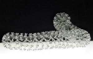 Cutting off the Ebola zone would be a mistake