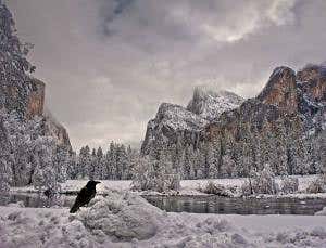 Computers are learning to see the world like we do