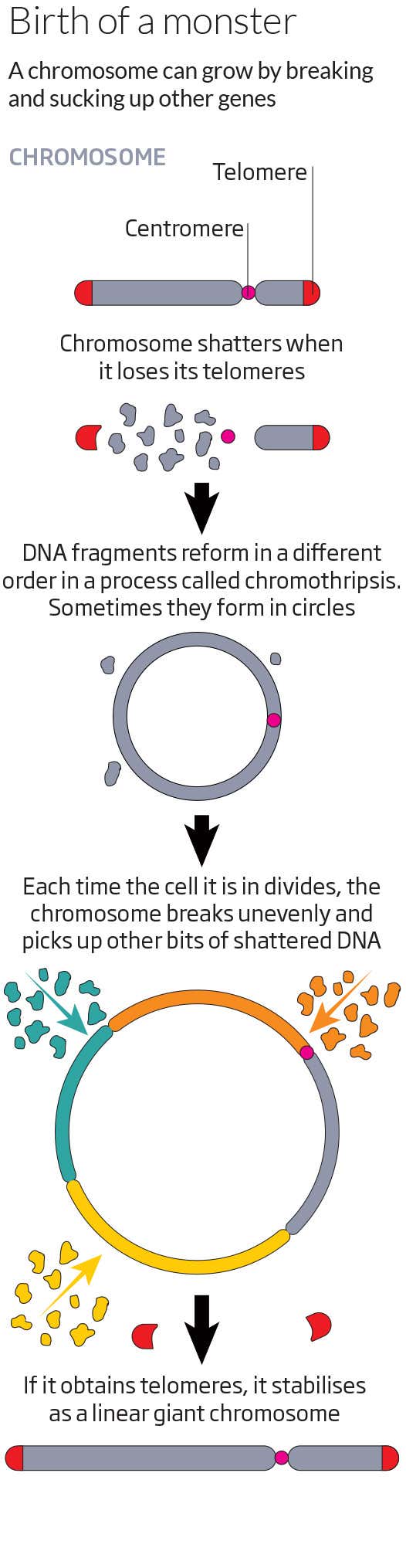 New Scientist. Science news and long reads from expert journalists, covering developments in science, technology, health and the environment on the website and the magazine.