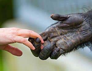 Composition of your gut bacteria may be inherited