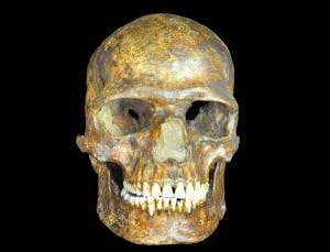 Oldest European genome illuminates diverse ancestry