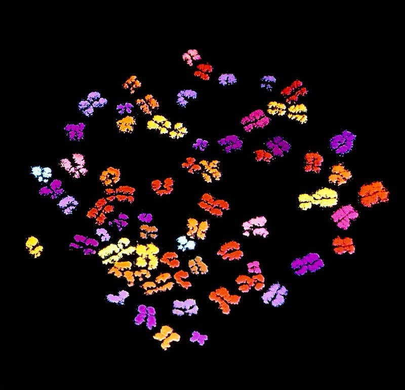 New Scientist. Science news and long reads from expert journalists, covering developments in science, technology, health and the environment on the website and the magazine.