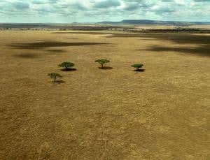 Conservation report reinforces fears over 'paper parks'