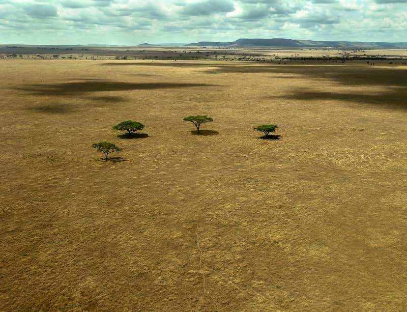 New Scientist. Science news and long reads from expert journalists, covering developments in science, technology, health and the environment on the website and the magazine.