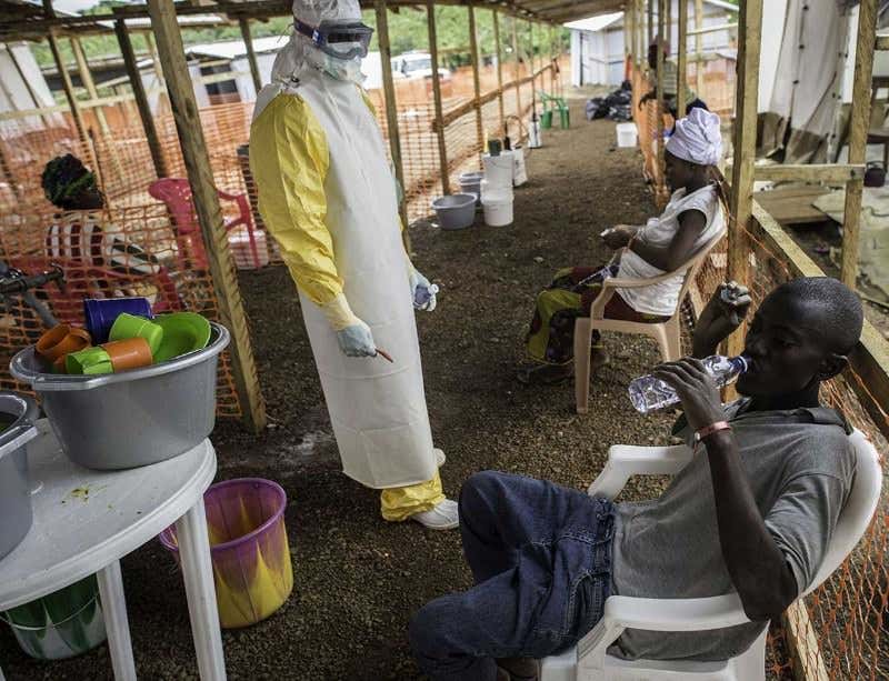 New Scientist. Science news and long reads from expert journalists, covering developments in science, technology, health and the environment on the website and the magazine.